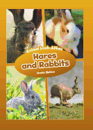 Hares and Rabbits: Animal Look-Alikes