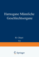 Harnorgane Mnnliche Geschlechtsorgane