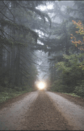 Haunted By Trauma