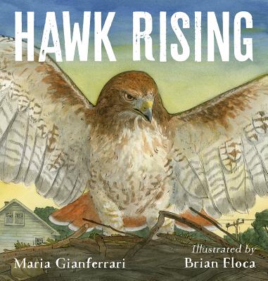 Hawk Rising - Gianferrari, Maria