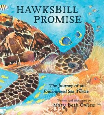 Hawksbill Promise: The Journey of an Endangered Sea Turtle - Owens, Mary Beth