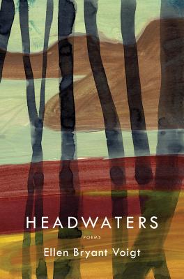 Headwaters - Voigt, Ellen Bryant