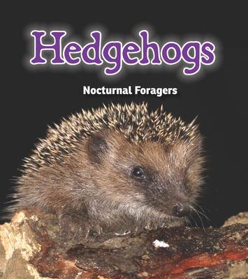 Hedgehogs: Nocturnal Foragers - Rissman, Rebecca