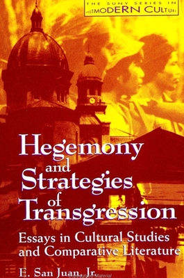 Hegemony and Strategies of Transgression: Essays in Cultural Studies and Comparative Literature - San Juan Jr, E