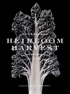 Heirloom Harvest: Modern Daguerreotypes of Historic Garden Treasures - Goldman, Amy, and Spagnoli, Jerry (Photographer), and Mark, M (Foreword by)
