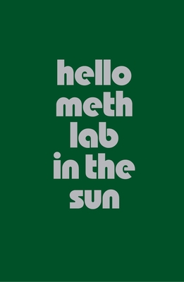 Hello Meth Lab in the Sun - Gillick, Liam (Text by), and De Lima Greene, Alison (Text by), and Hollander, David (Text by)