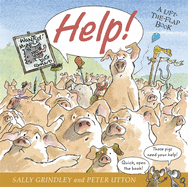 Help!: Lift-the-Flap Book