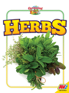 Herbs