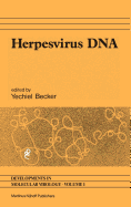 Herpesvirus DNA: Recent Studies on the Organization of Viral Genomes, Mrna Transcription, DNA Replication, Defective DNA, and Viral DNA Sequences in Transformed Cells and Bacterial Plasmids