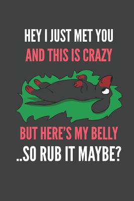 Hey I Just Met You And This Is Crazy But Here's My Belly ..So Rub It Maybe?: Doxie Wiener Dog Funny Quote Gift Lined Notebook Journal 110 Pages - Creative, Devon