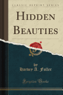 Hidden Beauties (Classic Reprint)