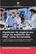 Hipteses de negcio em curso na auditoria das PME, como ferramenta