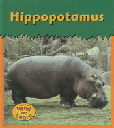 Hippopotamus