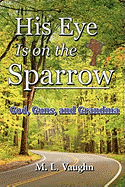 His Eye Is on the Sparrow: God, Guns, and Grandma