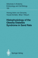 Histophysiology of the Obesity-Diabetes Syndrome in Sand Rats