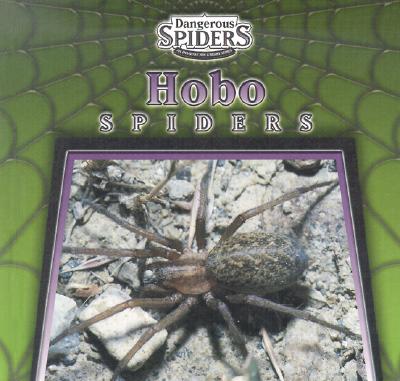 Hobo Spiders - Ethan, Eric