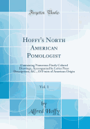 Hoffy's North American Pomologist, Vol. 1: Containing Numerous Finely Colored Drawings, Accompanied by Letter Press Descriptions, &C., of Fruits of American Origin (Classic Reprint)