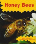 Honey Bees - Schaefer, Lola M
