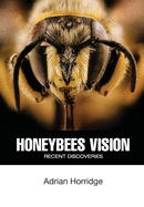 Honeybees Vision: Recent Discoveries