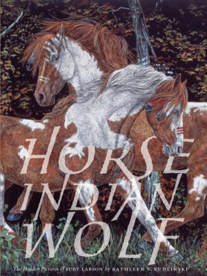 Horse Indian Wolf: The Hidden Pictures of Judy Larson - Kudlinski, Kathleen, V