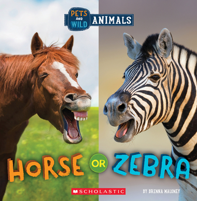 Horse or Zebra (Wild World: Pets and Wild Animals) - Maloney, Brenna