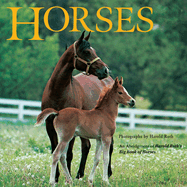 Horses: An Abridgement of Harold Roth's Big Book of Horses