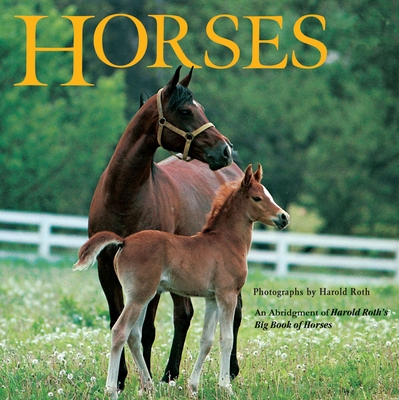 Horses: An Abridgement of Harold Roth's Big Book of Horses - Driscoll, Laura