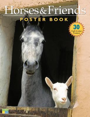 Horses & Friends Poster Book - Langrish, Bob