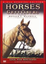 Horses of Gettysburg: Civil War Minutes IV