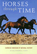Horses Through Time