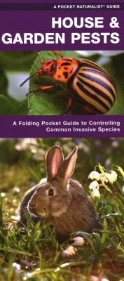 House & Garden Pests: How to Organically Control Common Invasive Species - Kavanagh, James