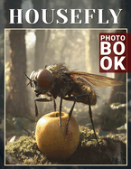 Housefly Photo Book: Intriguing Collection Of 40 Detailed Images Showcasing The Fascinating World Of Houseflies