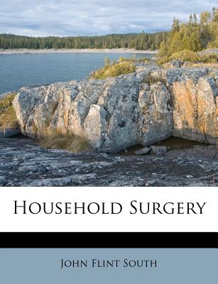 Household Surgery - South, John Flint