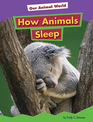 How Animals Sleep - Dawson, Emily C