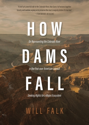 How Dams Fall - Falk, Will