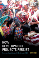 How Development Projects Persist: Everyday Negotiations with Guatemalan Ngos