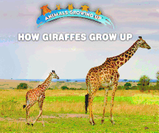 How Giraffes Grow Up