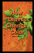 How Leaves Change Color