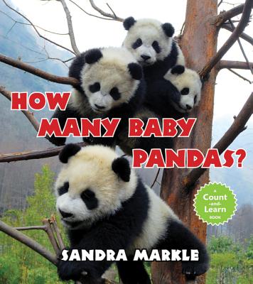 How Many Baby Pandas? - Markle, Sandra