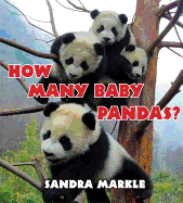 How Many Baby Pandas?