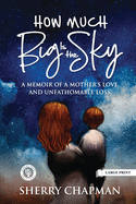 How Much Big Is the Sky: A Memoir of a Mother's Love and Unfathomable Loss