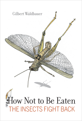 How Not to Be Eaten: The Insects Fight Back - Waldbauer, Gilbert, Dr.