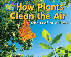How Plants Clean the Air