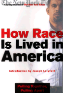 How Race Is Lived in America: Pulling Together, Pulling Apart