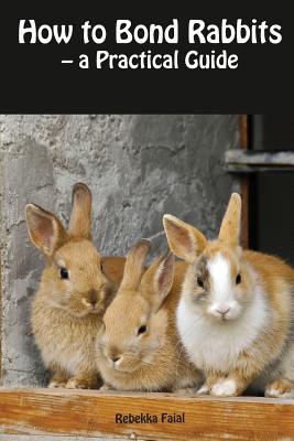 How to Bond Rabbits: - a Practical Guide - Faial, Rebekka