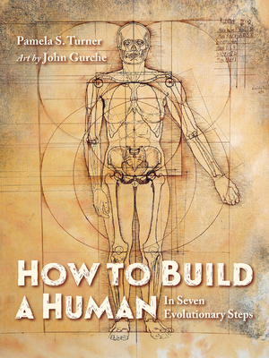 How to Build a Human: In Seven Evolutionary Steps - Turner, Pamela S