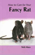 How to Care for Your Fancy Rat