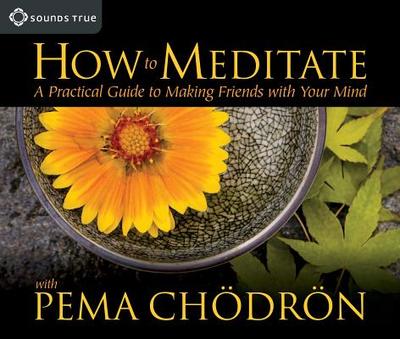How to Meditate with Pema Chodron: A Practical Guide to Making Friends with Your Mind - Chodron, Pema