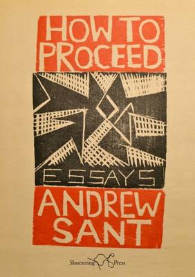 How to Proceed: Essays - Sant, Andrew