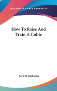 How To Raise And Train A Collie